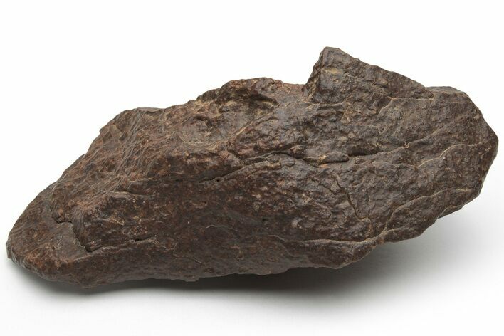 Chondrite Meteorite ( g) - Western Sahara Desert #226969